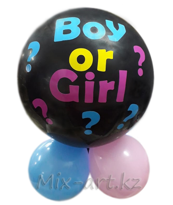 Шар мальчик или девочка. Boy or Girl. Гендерный шар. Караганда.